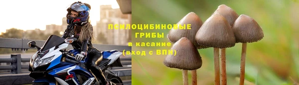эйфоретик Горнозаводск