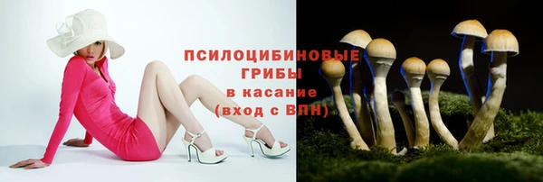 эйфоретик Горнозаводск