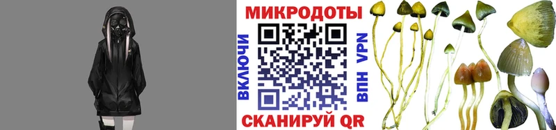 mega рабочий сайт  Норильск  Галлюциногенные грибы мухоморы  где купить наркотик 